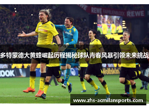 多特蒙德大黄蜂崛起历程揭秘球队青春风暴引领未来挑战